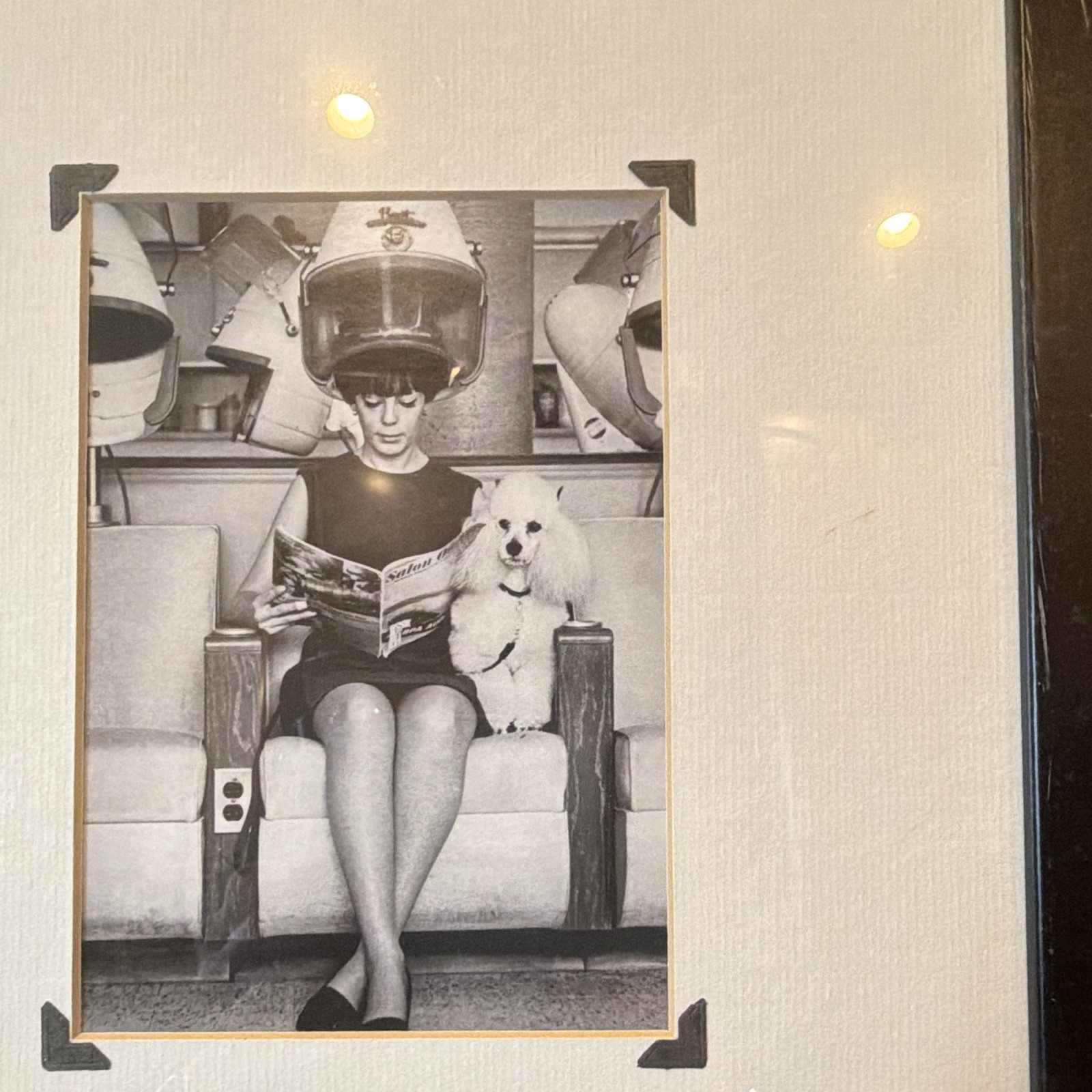 Vintage Black & White Photograph Woman Under Hair Dryer w/ Dog, Framed Matted