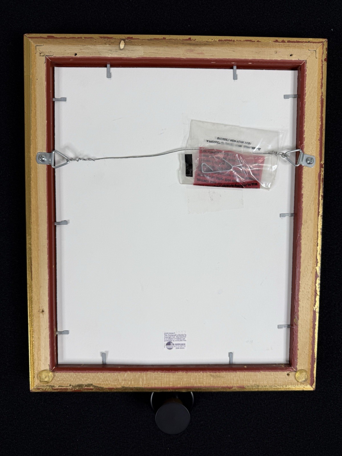 Vtg Original Framed Portrait White Maltese Dogs Gold Color Wood Ready To Hang