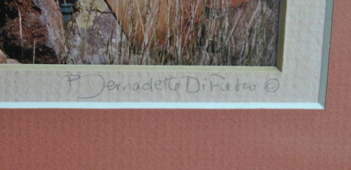 Vintage 1989 New Mexico Framed and Double Matted Photograph Signed and Dated