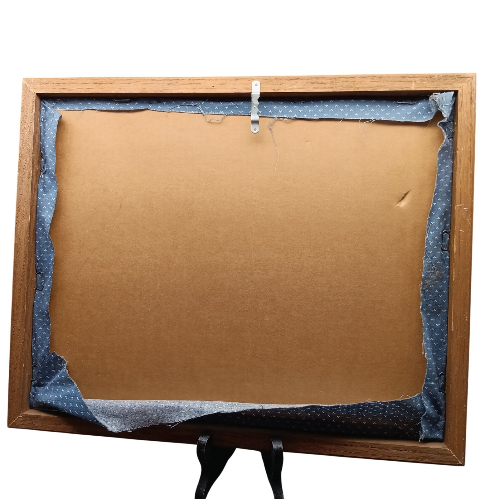 Vintage Framed Tabby Cat Photography Wall Art in Rustic Oak Frame