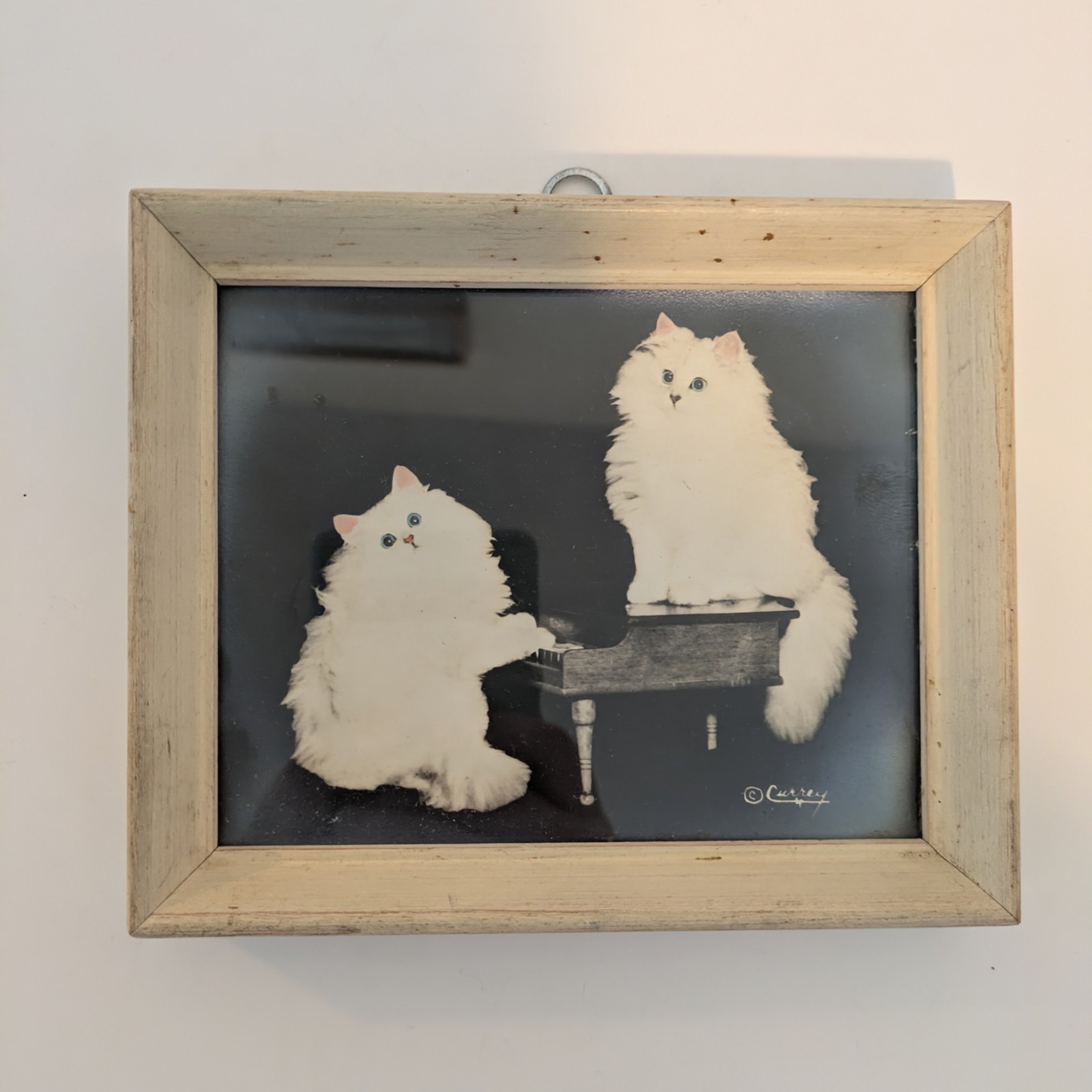 Bradley R Currey Cats Pictures Lot Of 6 White Cats 5.5″ X 4.5″ Piano Books Chair