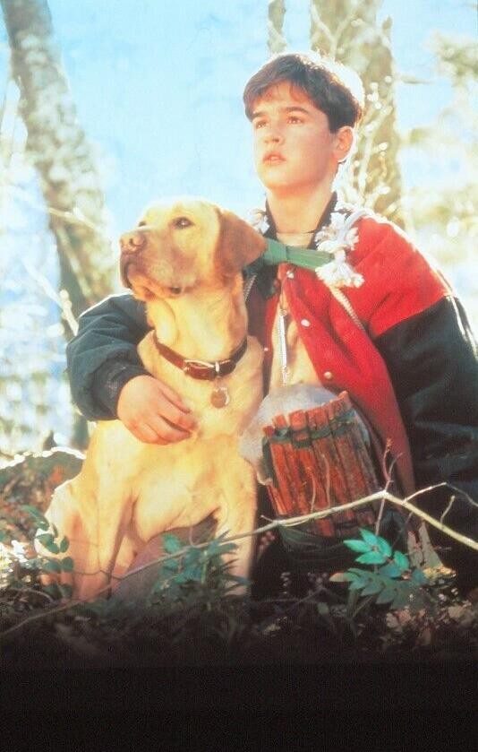 Film slide Far from home the adventures of yellow dog TV slide KB format L68-5-2