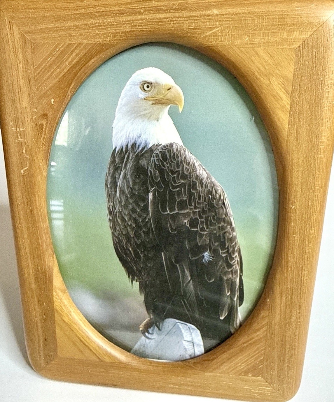 Wood Picture Frame 8×6 -Oval Opening- Bald Eagle Photo Rustic Decor