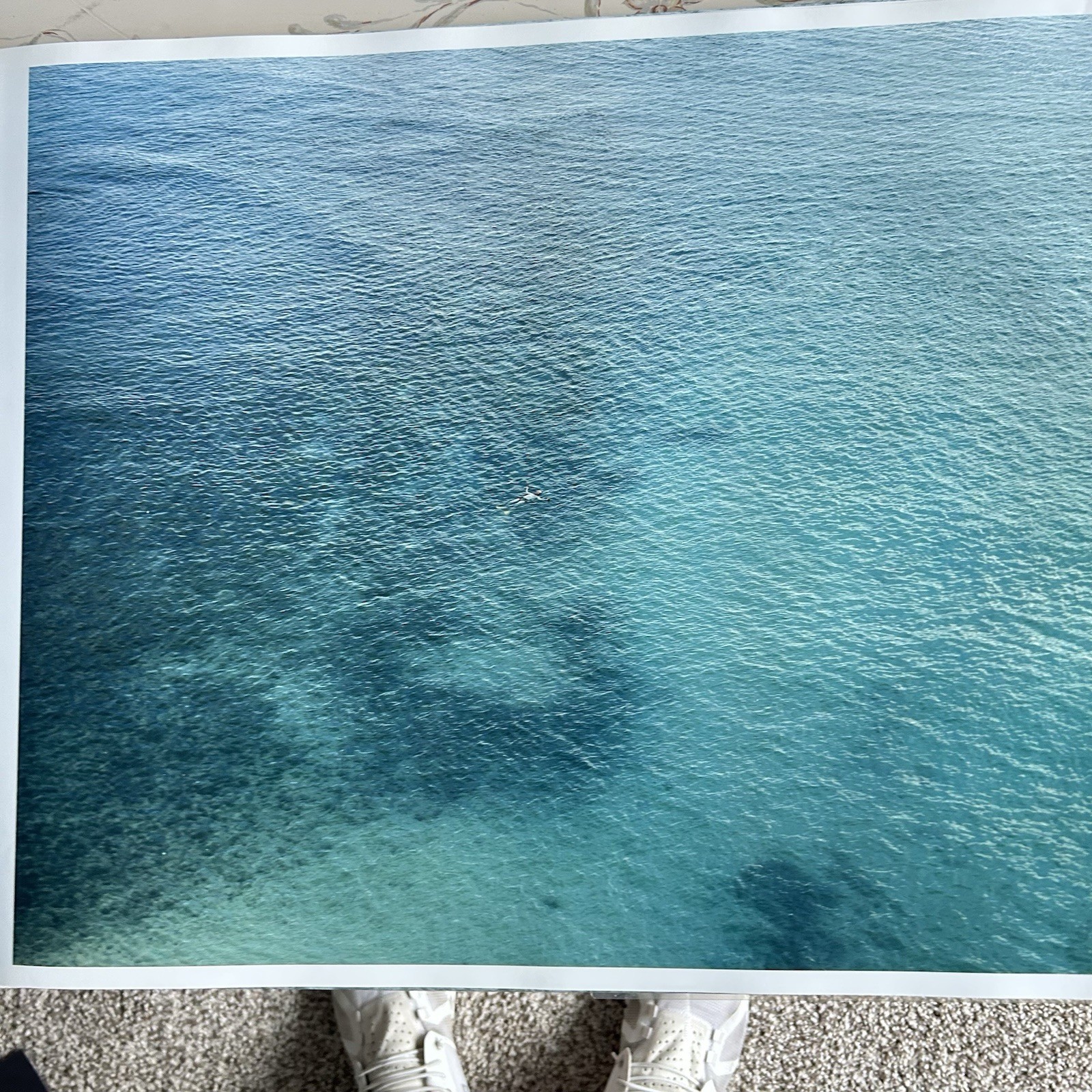 Richard Misrach On The Beach Book Photography