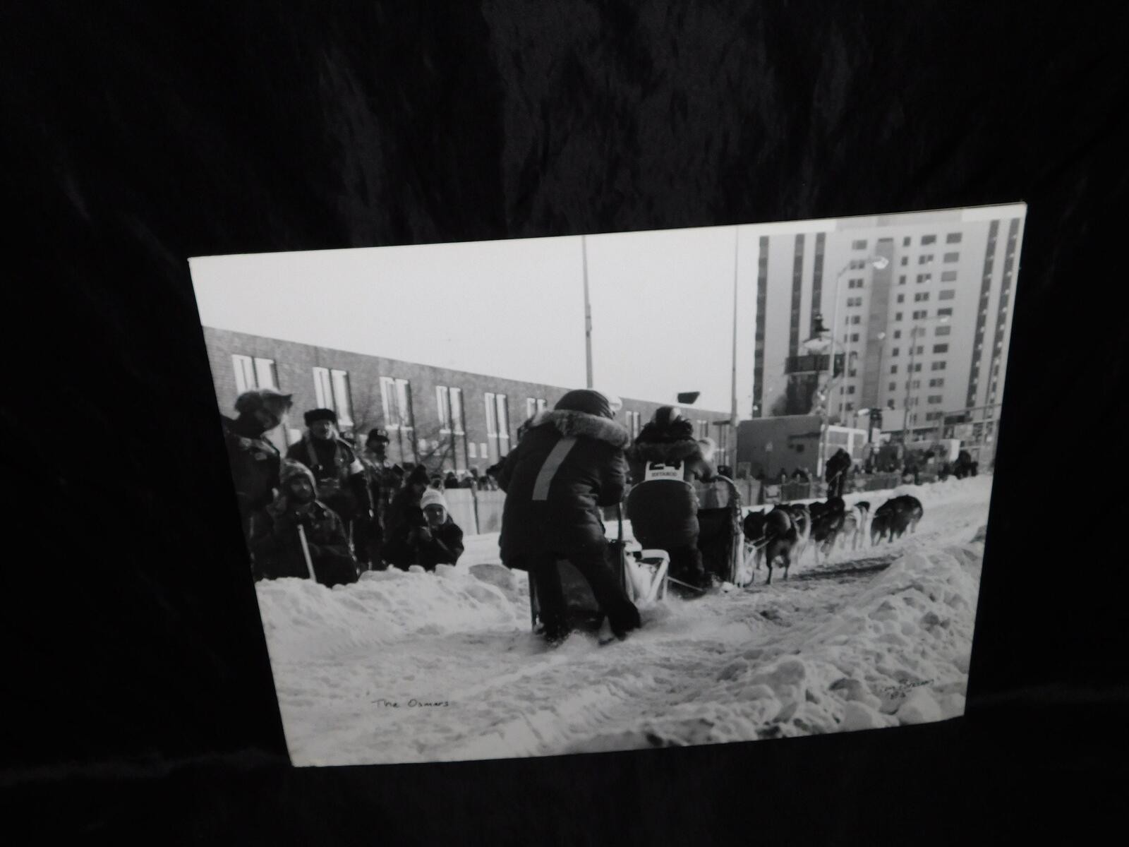 Alaska Iditarod Dog Sled Race 1985 Jim Brown Signed Mounted Set 6 Photos