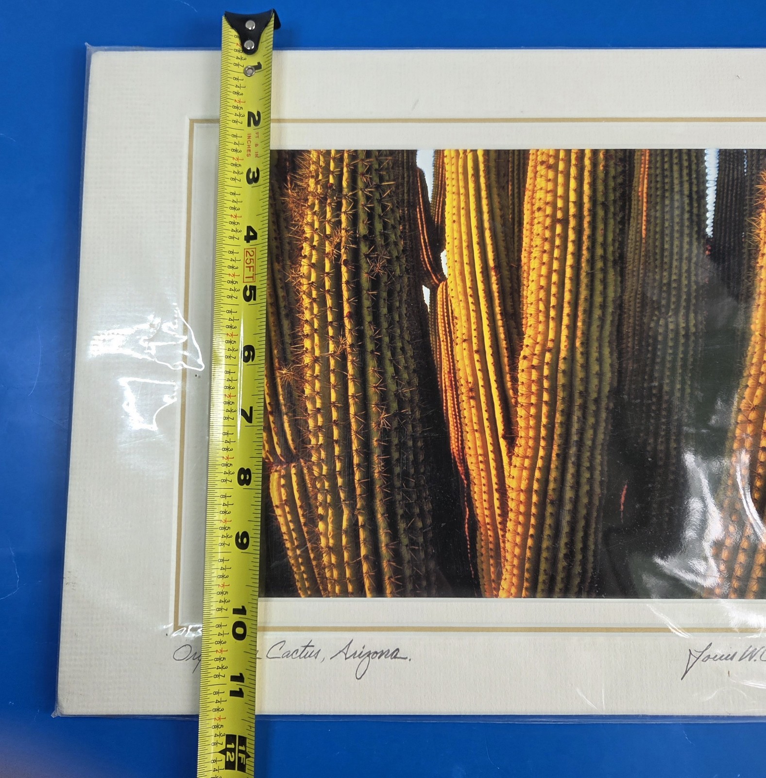 Louis Cantillo ORGAN PIPE CATUS Signed Photo Arizona Matted Mounted 14 x 11 New