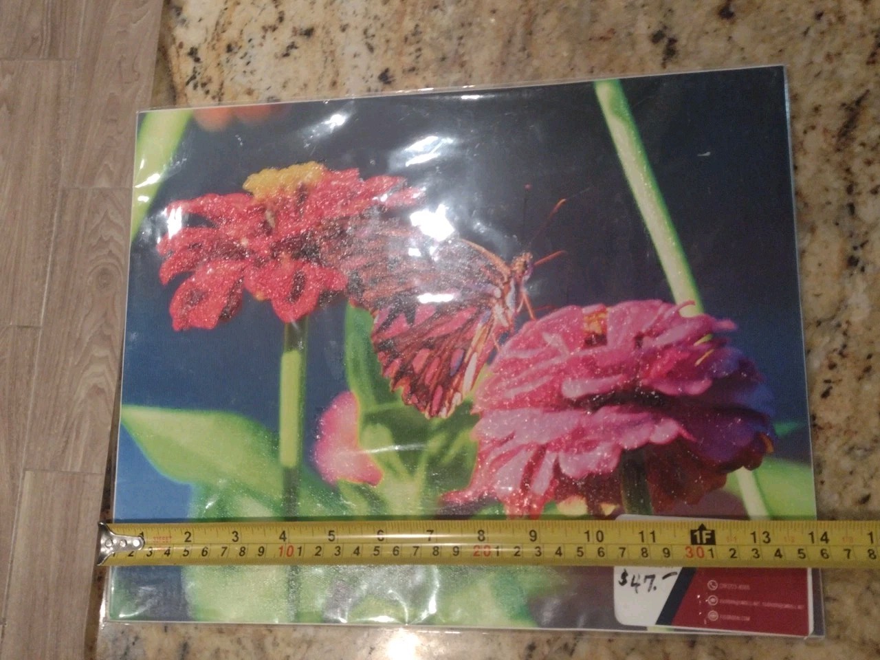 Butterfly Flowers Photography Nature Original Fine Art Photograph New