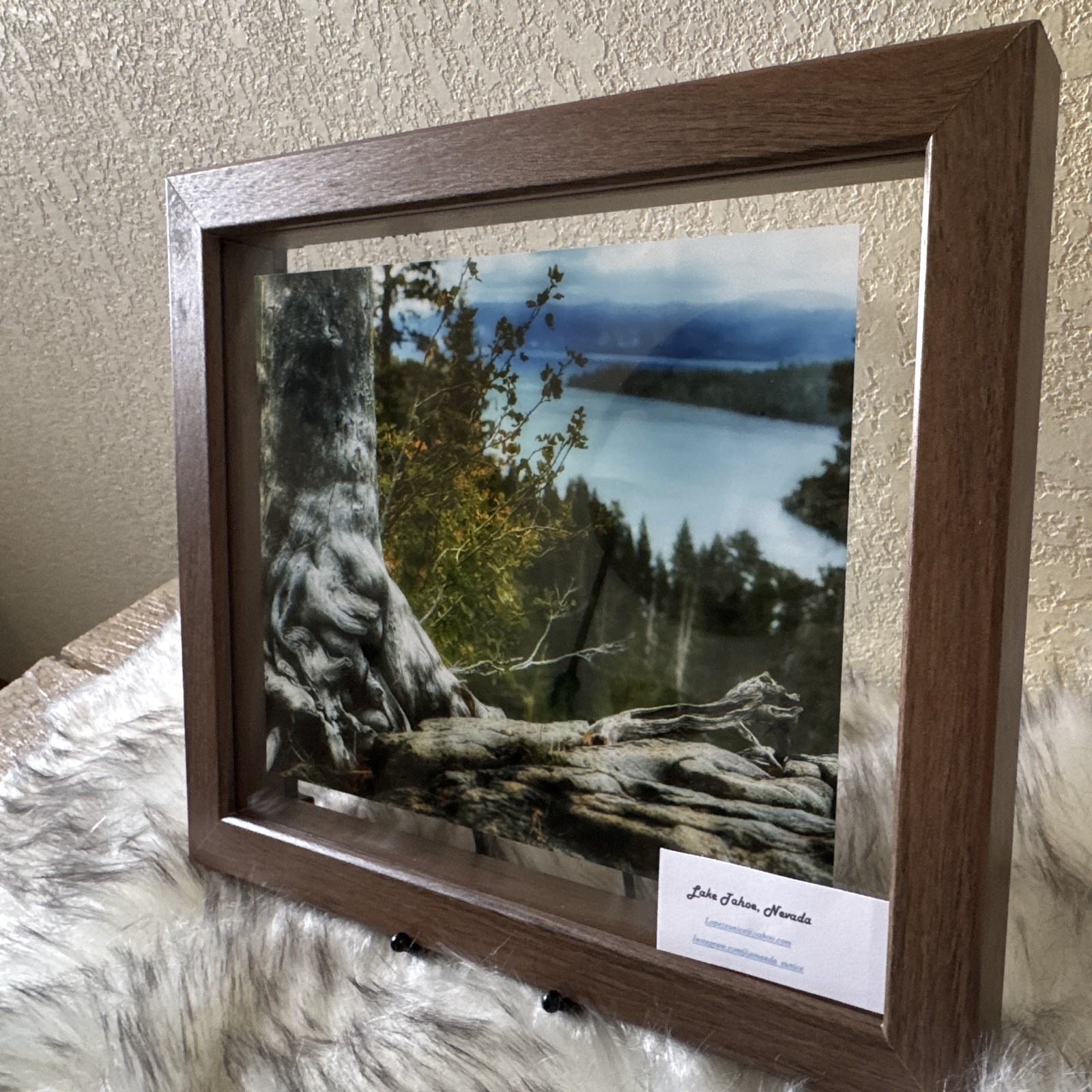 Amanda Eunice “Lake Tahoe, Nevada” Framed Color Landscape Photo Nature