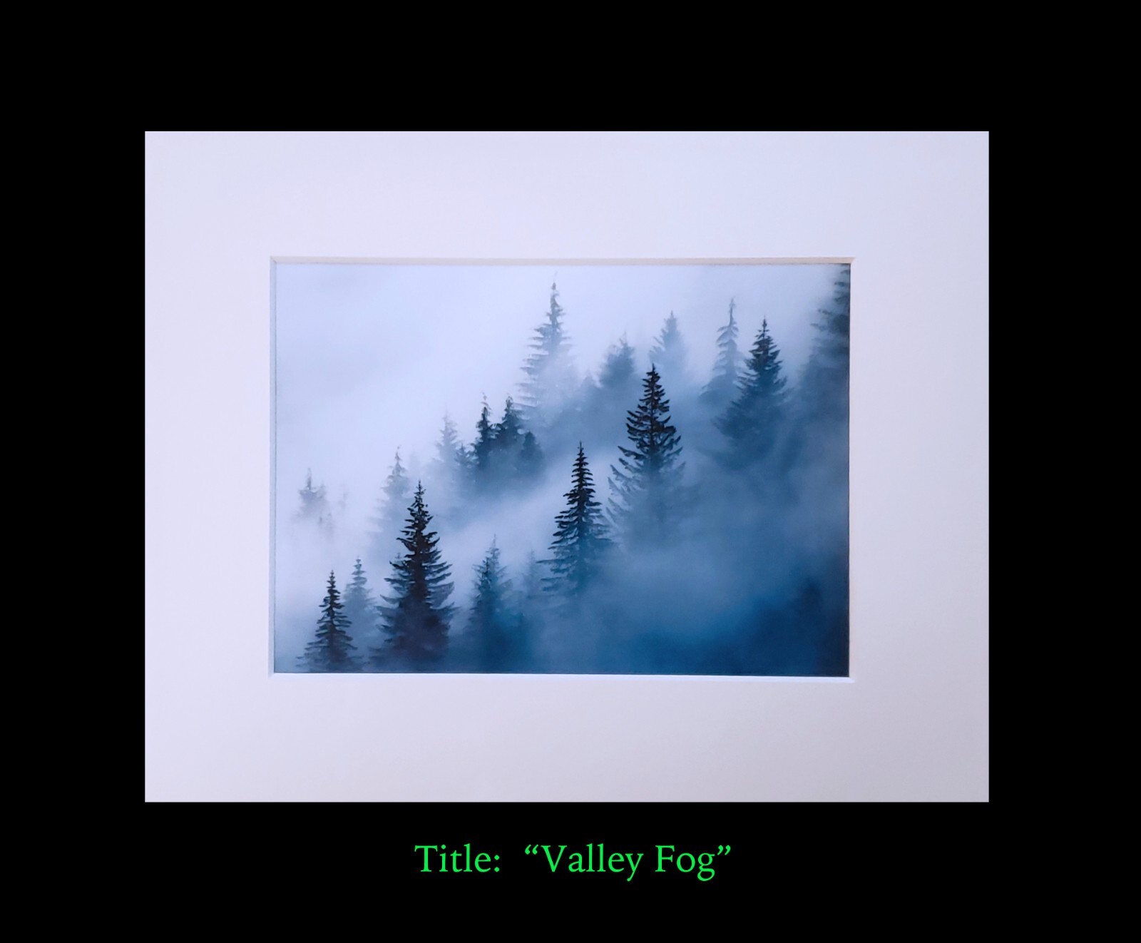 matted photograph, 5″x7″ print, mounted 3/16″ foam with 8″x10″ single white mat