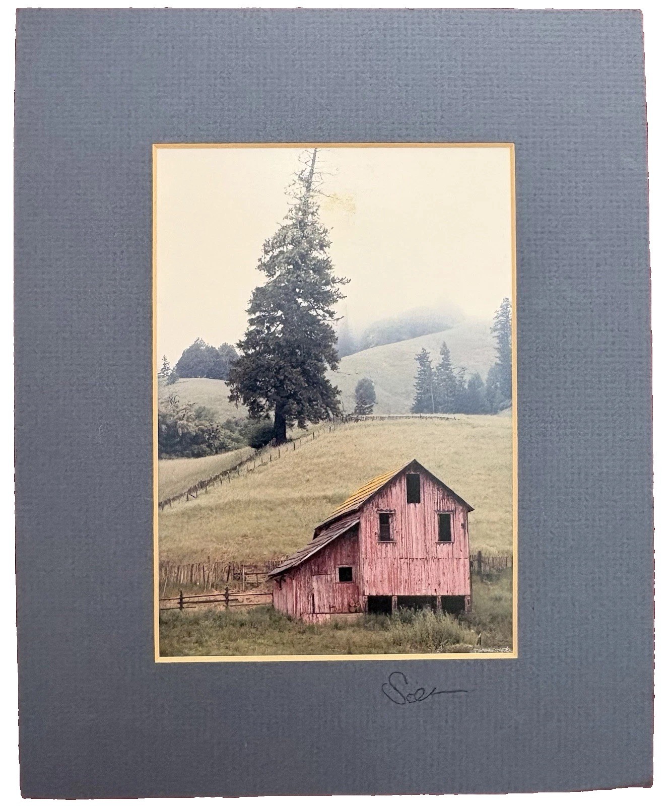 Signed Numbered Matted Barn Country Tree Photo 1988 Has Flaw