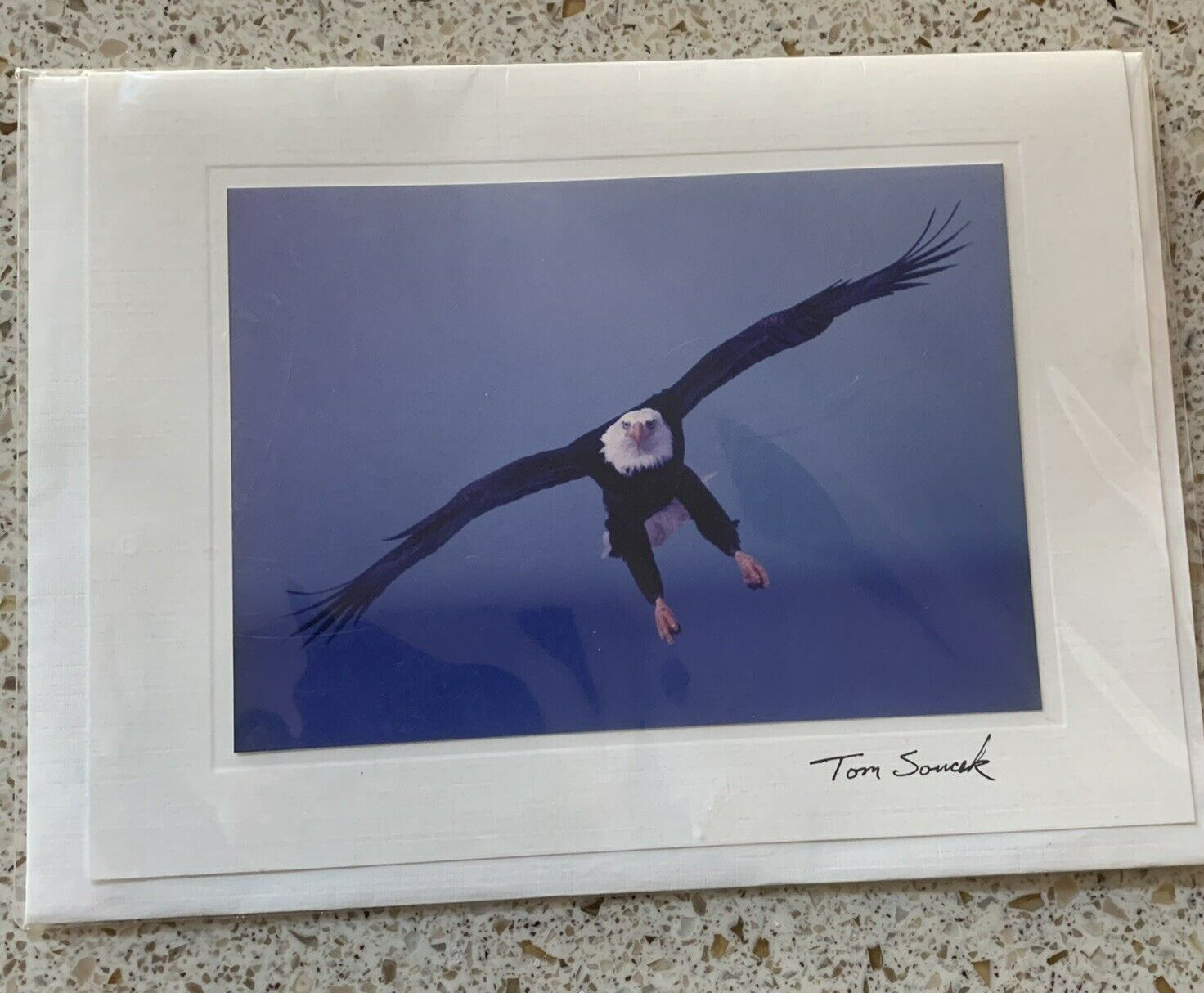 Photograph Notecard by Tom Soucek Eagle Landing Signed 1999