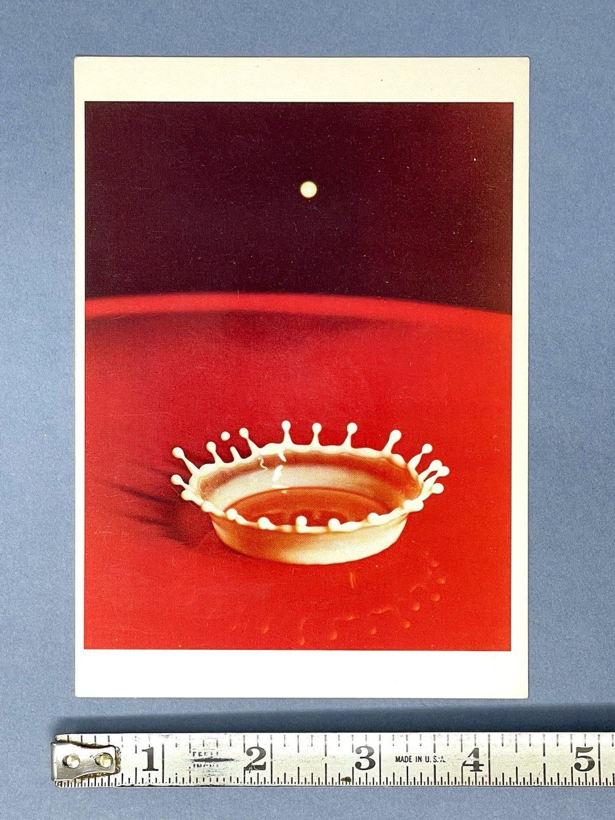 Milk Drop Coronet By Harold D. Edgerton Fotofolio Art Print Card 1988