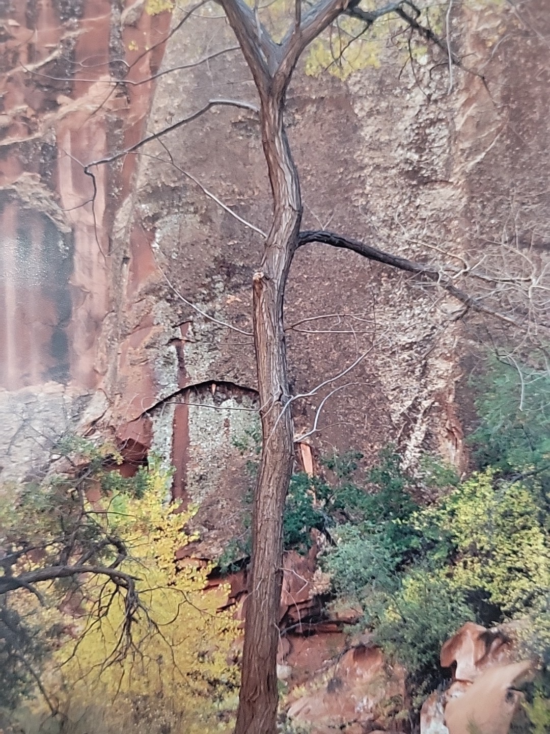 “Co-Op Creek” by Rick Preston 1988 #3, matted and signed,NO FRAME.