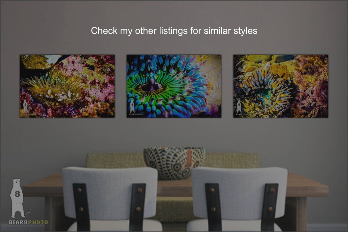 Sea Anemone – Colorful Underwater Photography Prints / Wall Art