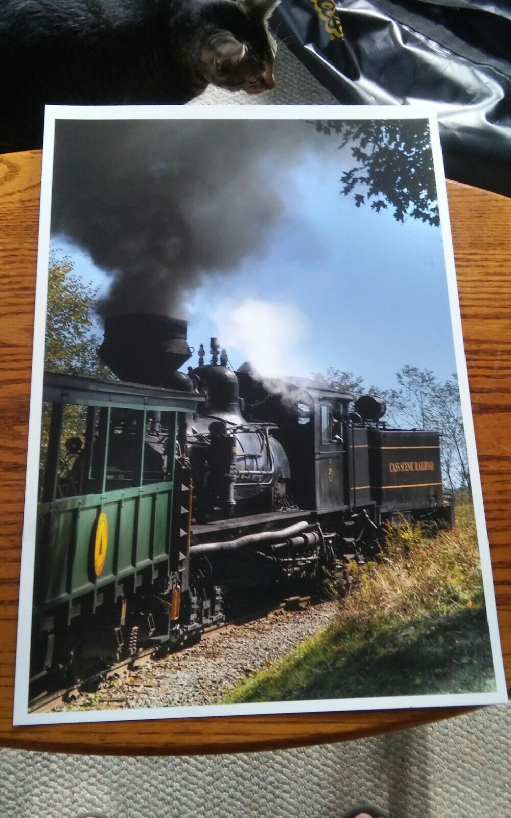 19×13 Digital Art Photograph Cass Scenic Railroad Engine West Virginia