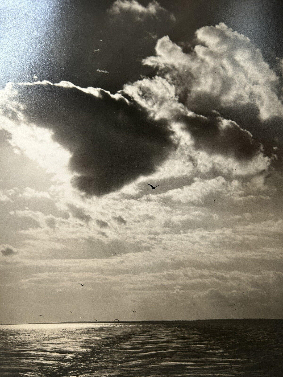 Arthur Gray Standard Oil Photographer Cleveland Ohio Americana Seascape Look!!!