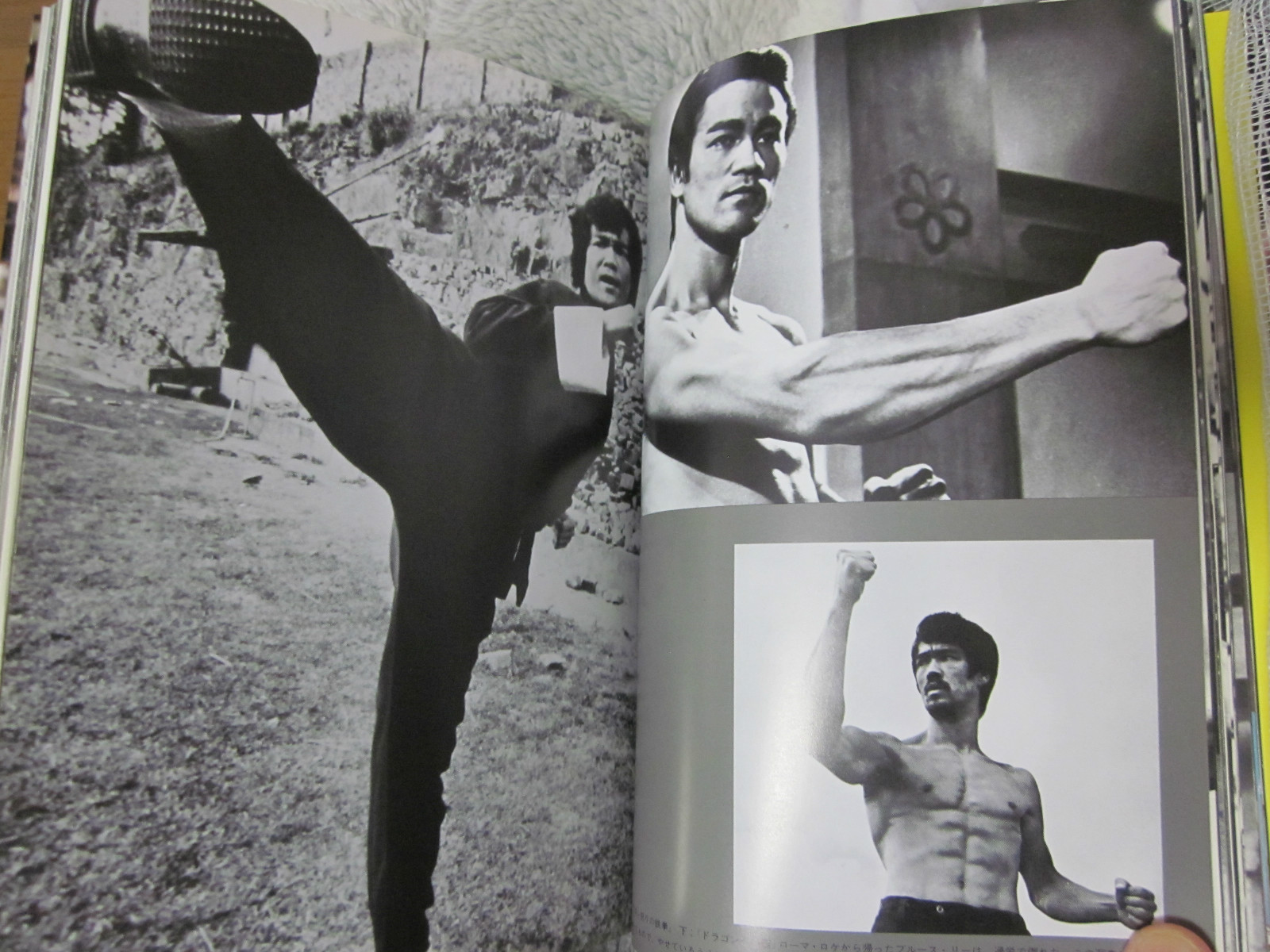 BRUCE LEE BOOK DRAGON FOREVER 1974 JAPAN by Koichi Hino 1st. edition