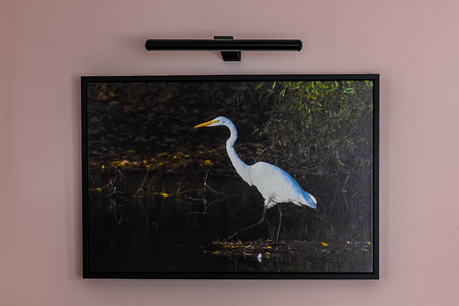 MAGNIFICENT GREAT EGRET CANVAS PRINT