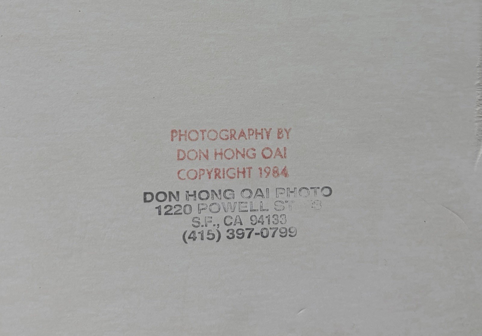 Don Hong Oai Birds in Flight Silver Gelatin Print Signed 1986 Matted Stamped
