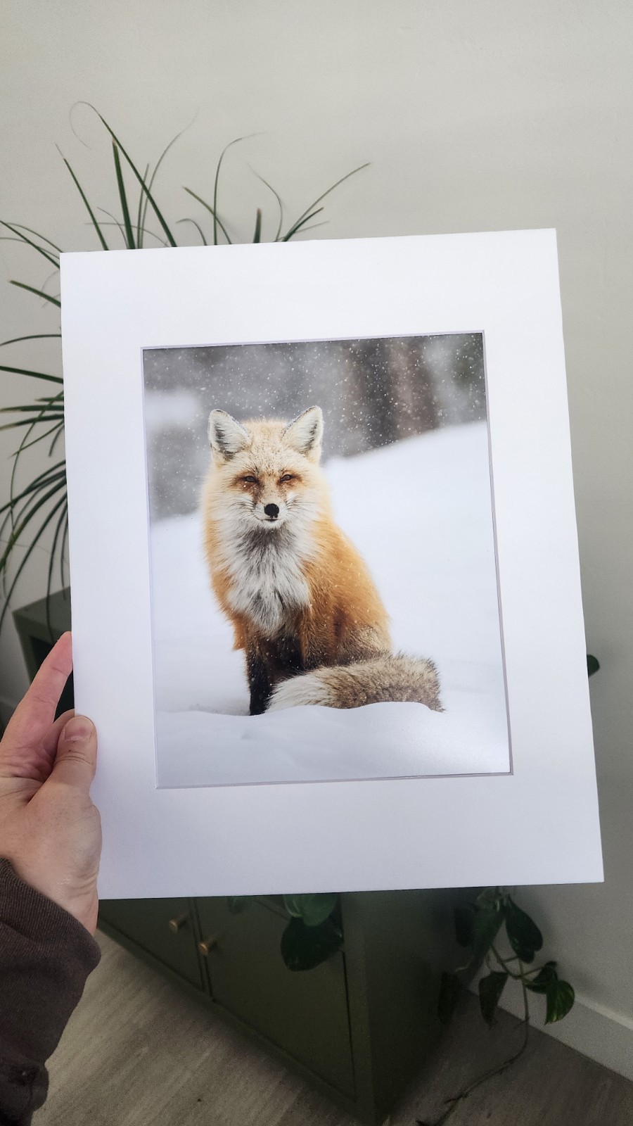 Red Fox in the Snow Original Fine Art Wildlife Photography Print by Rey Kifuri