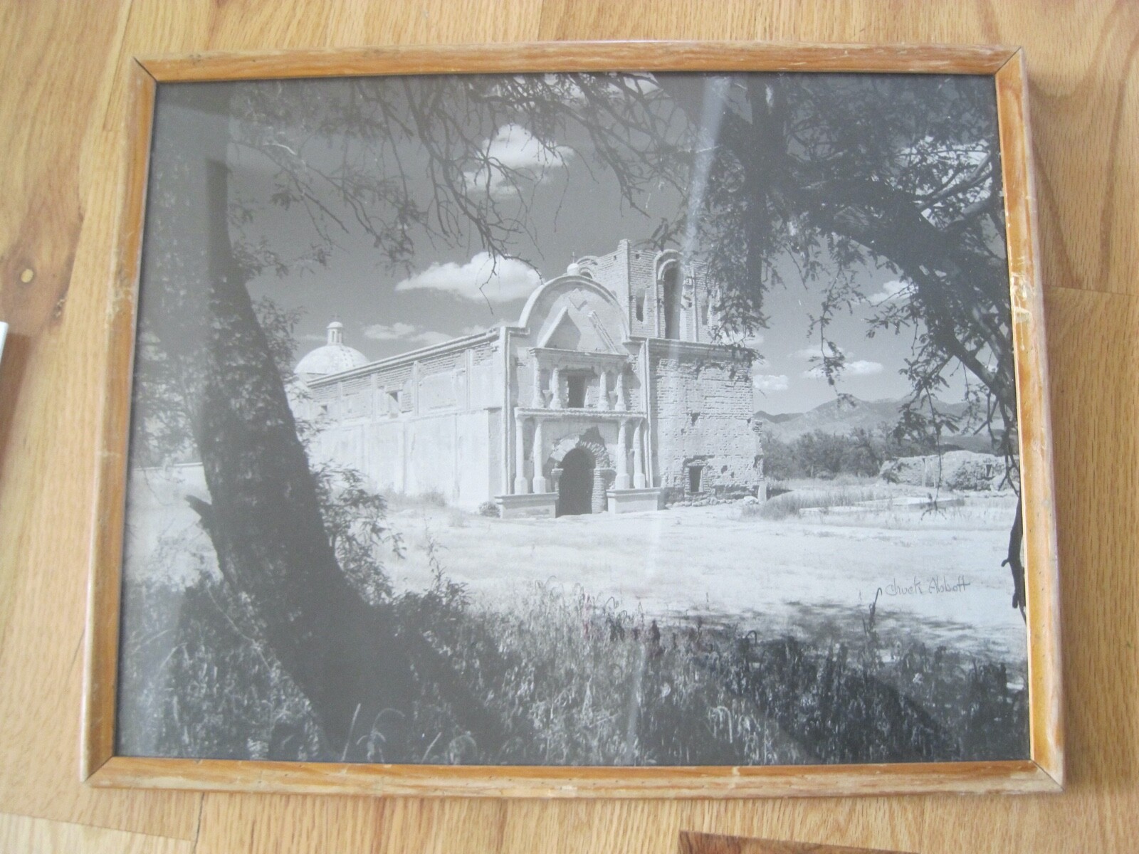 Chuck Abbott Photo Black & White Architecture Church w/ Large Tree 16″ x 20″