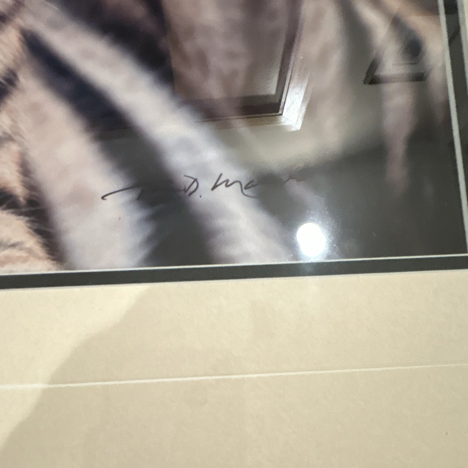 Thomas Mangelsen “Survivor- Bengal Tiger” signed framed matted 28×22 color photo