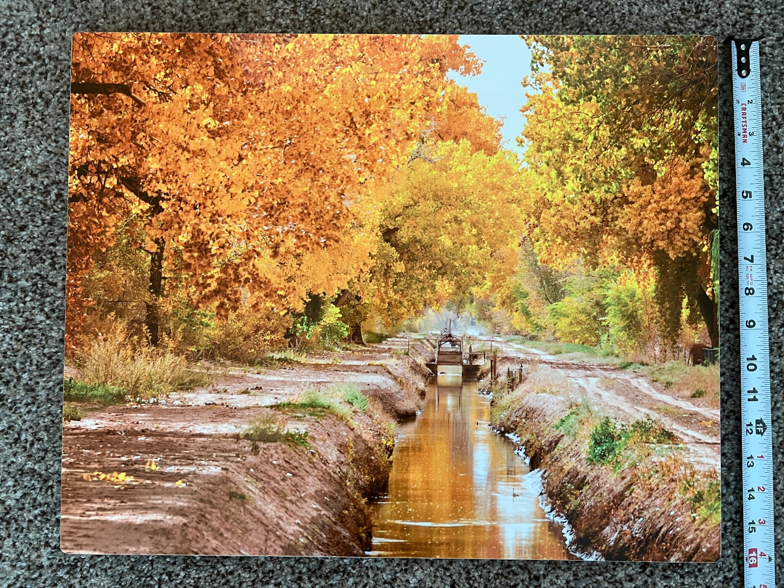 New Mexico Cottonwoods Acequia Photo Printed on Metal~ Ken Duckert Signed 20×16″