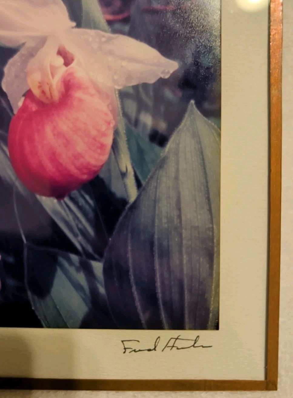 Vtg Fred Horton Photography of Ladyslipper in Copper Frame Signed 5x7in
