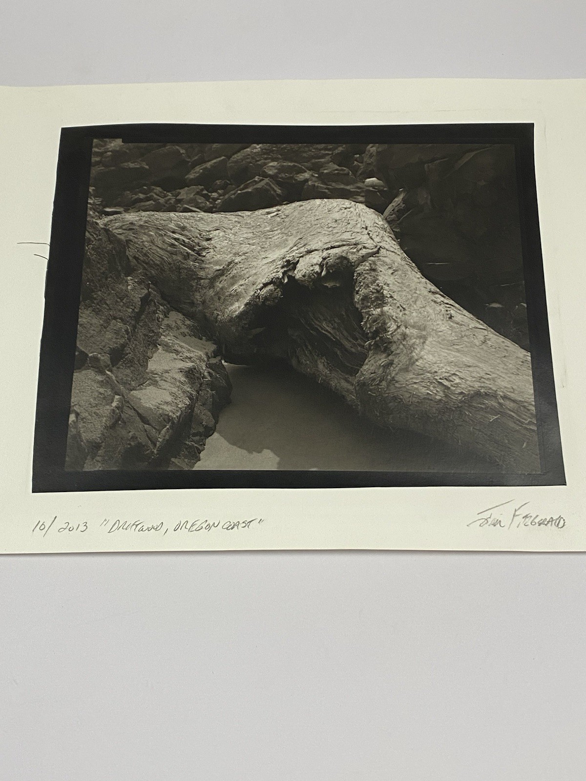Jim Fitzgerald Driftwood Oregon Coast Signed Photograph Carbon Transfer