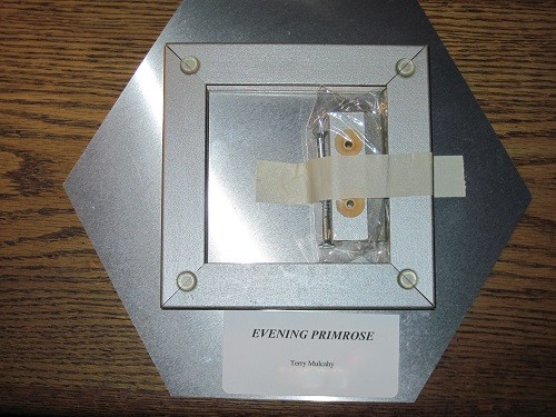 EVENING PRIMROSE, wall hanging, Photo-printed-on-metal hexagon, 11 x 9.5 inches