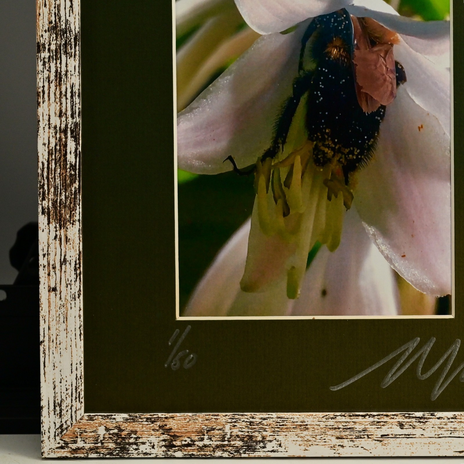 MICHAEL RAY Original Vintage Signed Long Island NY Floral Still Life Photograph
