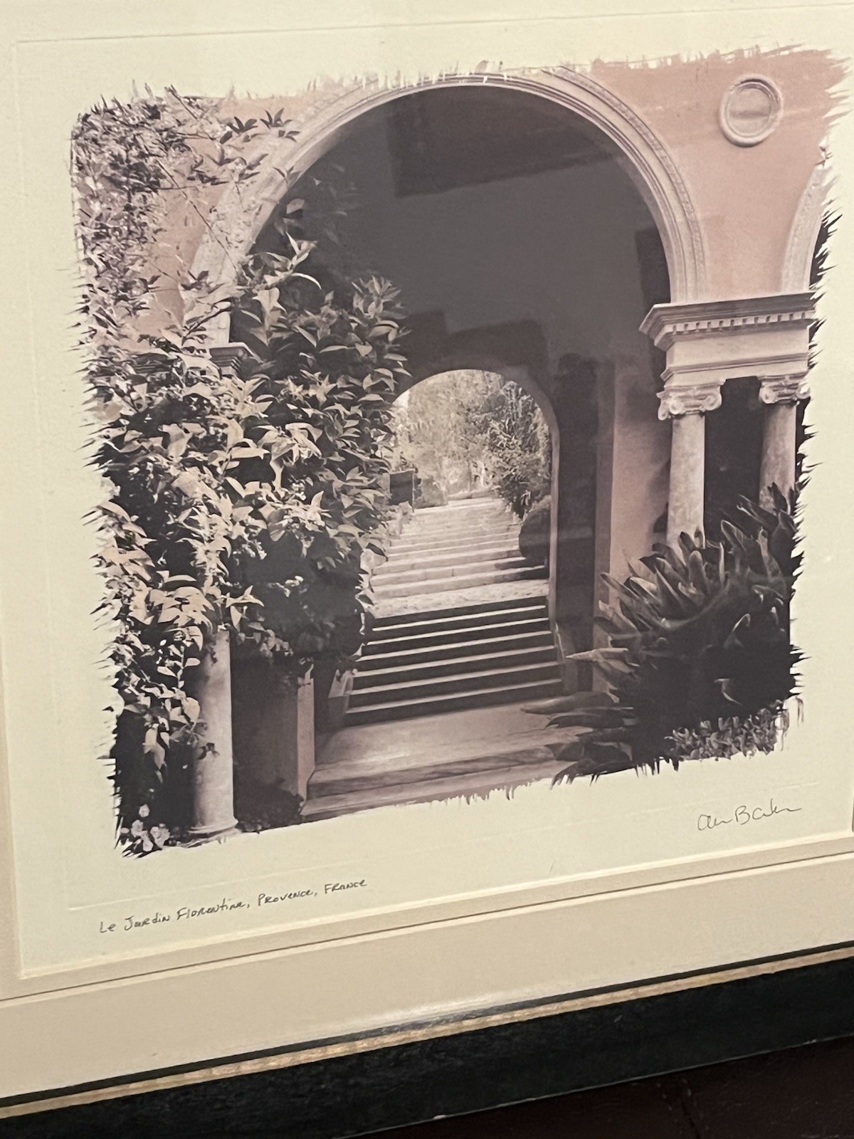 European Garden By Allan Blaustein Photography Framed With Glass 18 1/2 X 18 1/2