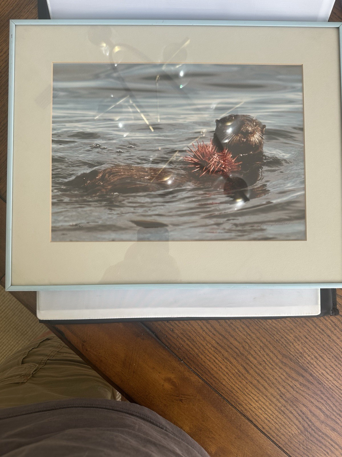 Limited Edition Signed Fine-Art Nature Photograph By Thomas Mangelsen