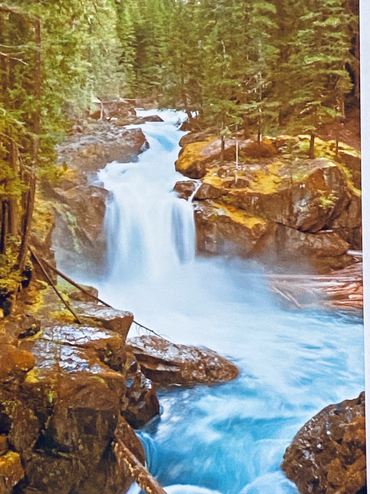 PNW Landscape Waterfall Art Forest River Photographic Metal Print 11×14 Signed