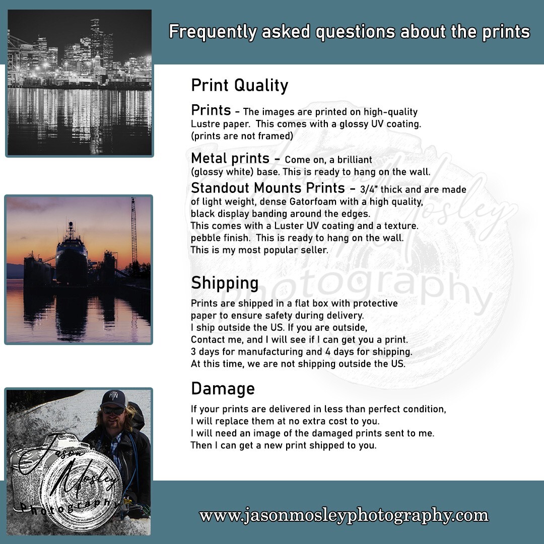 Olympic National Park Photography Ruby Beach panoramic landscape Metal 24×36″