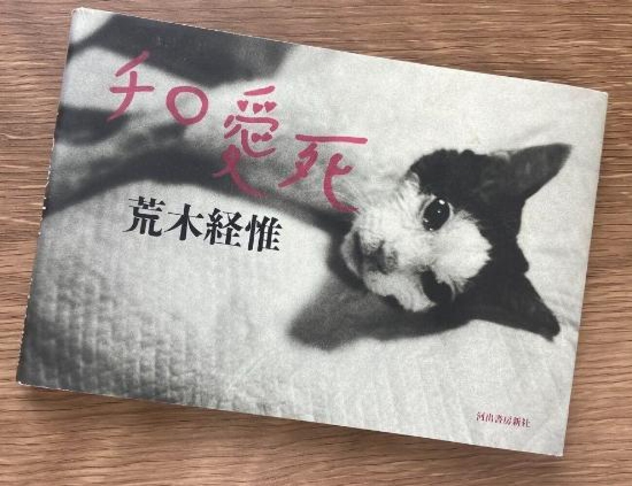 Nobuyoshi Araki Cat Chiro love death Ai shi Photo Book