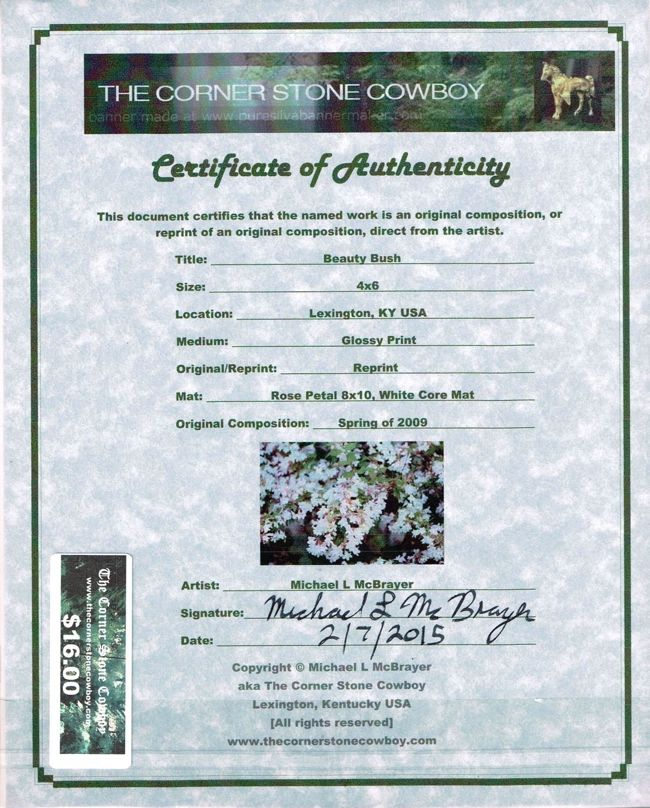 Beauty Bush 4×6 Photo in Unframed 8×10 Matted Print with COA, Signed by Artist