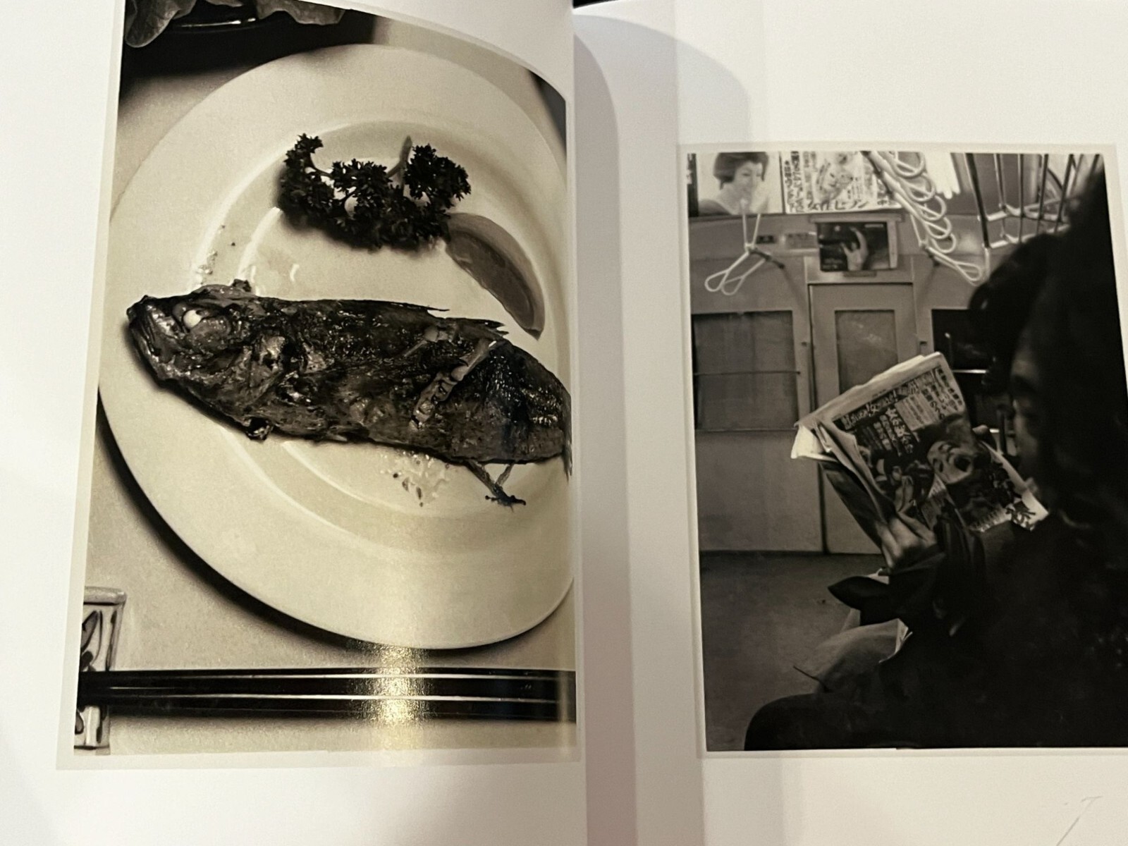 Impossible Love: Nobuyoshi Araki, A Photographic Journey through Japan art book