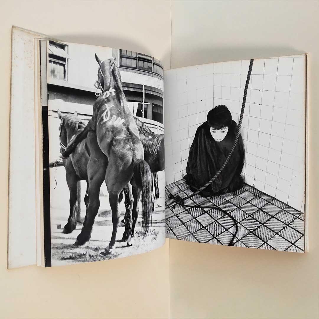 RARE 1st Edition Masahisa Fukase Yugi Homo Ludence 1971 Photo Book Japan