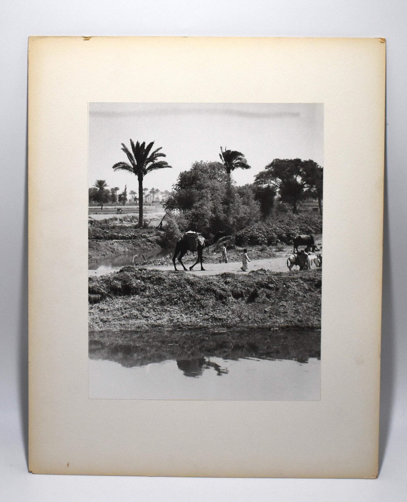 J.W. Howlett Black + white Photograph focusing on a Group of Travelers W/ Camel