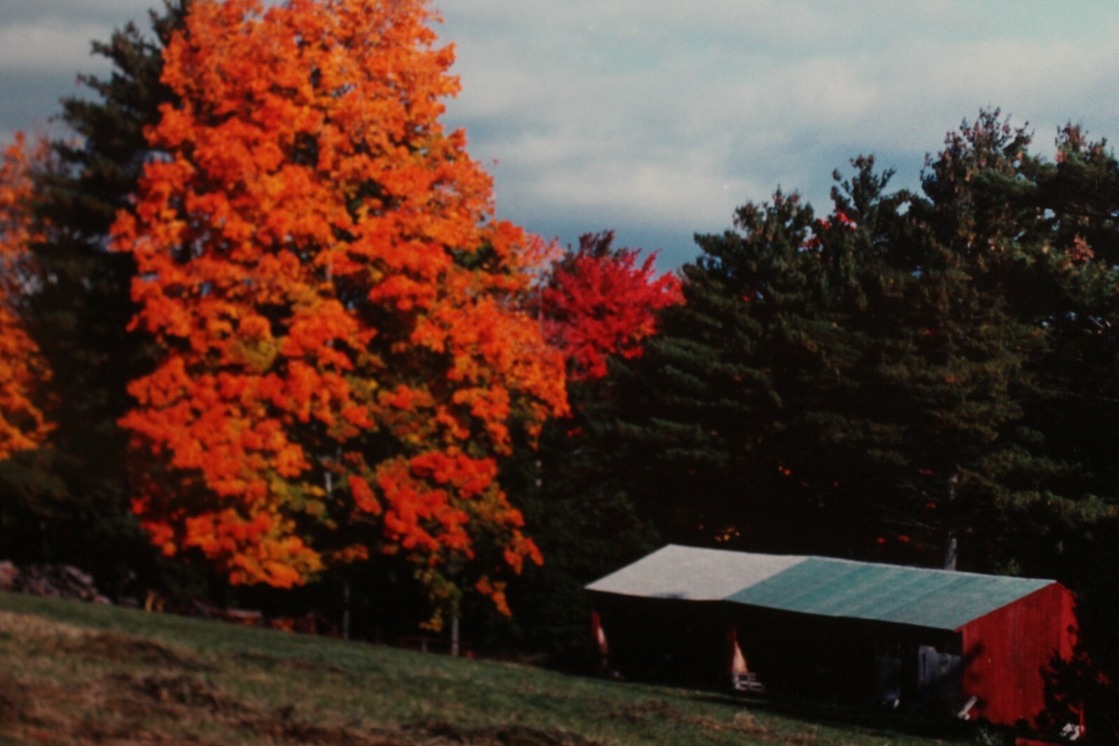 Vintage Signed 8×12 Photo W. Beebe East Tennessee Fall Barn