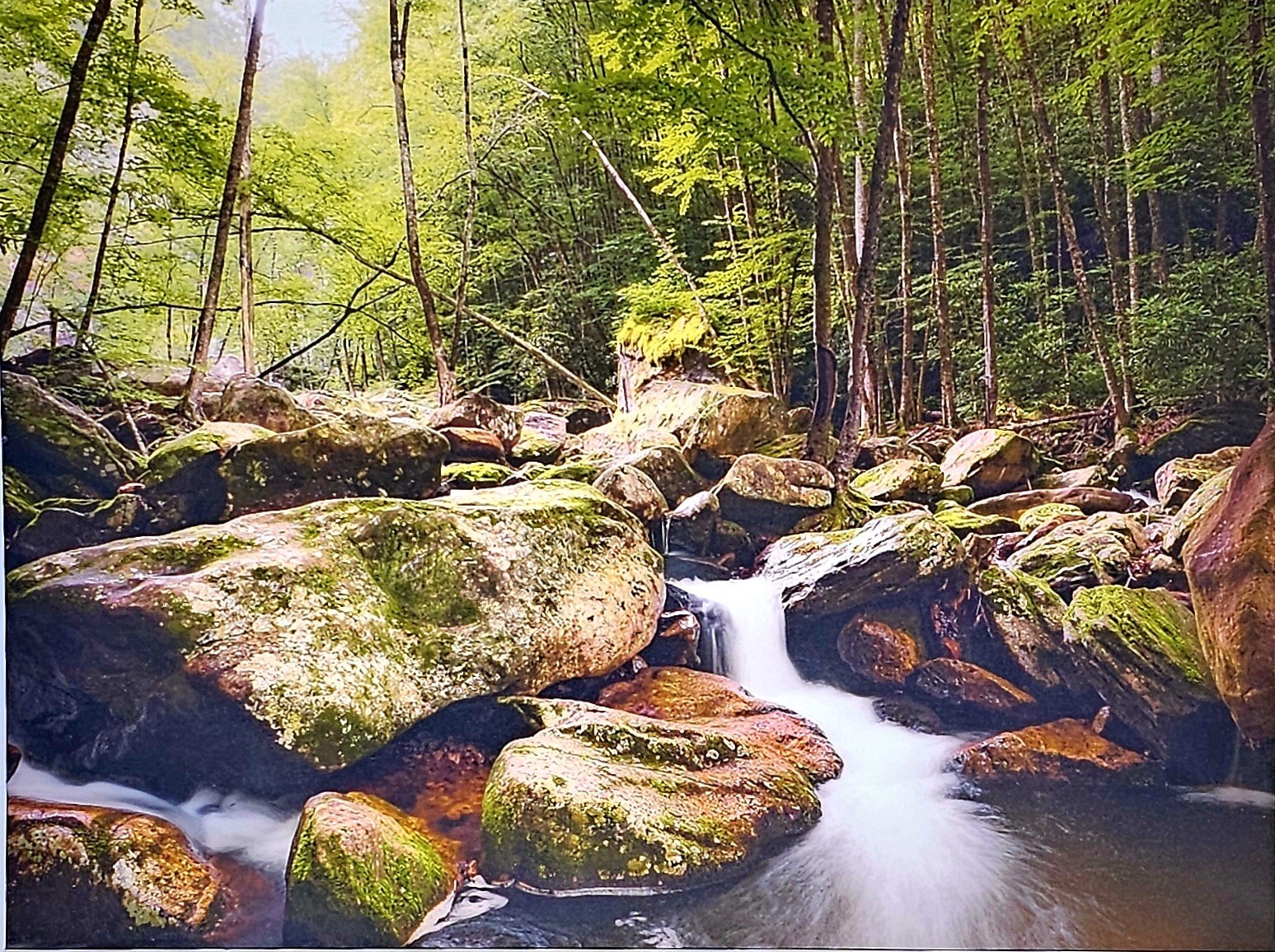 fine art nature photography prints