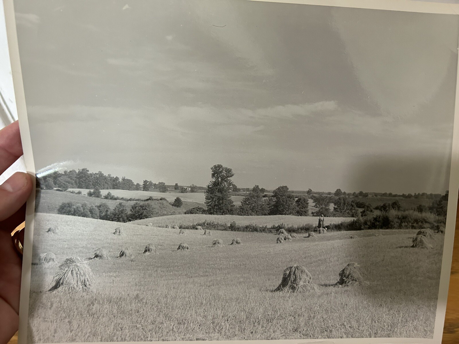 Arthur Gray Standard Oil Photographer Cleveland Ohio Americana Haystacks Monet!!
