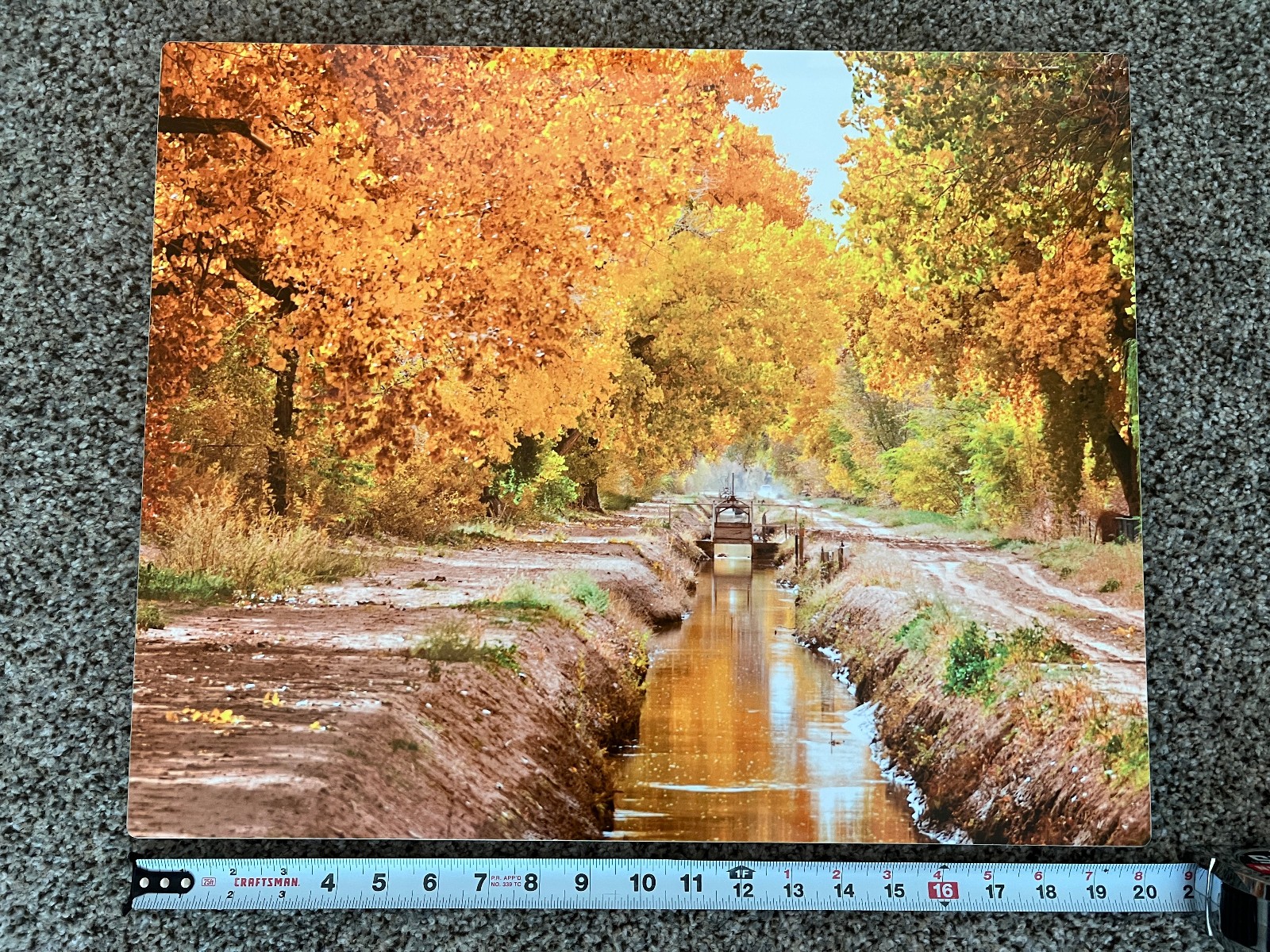 New Mexico Cottonwoods Acequia Photo Printed on Metal~ Ken Duckert Signed 20×16″
