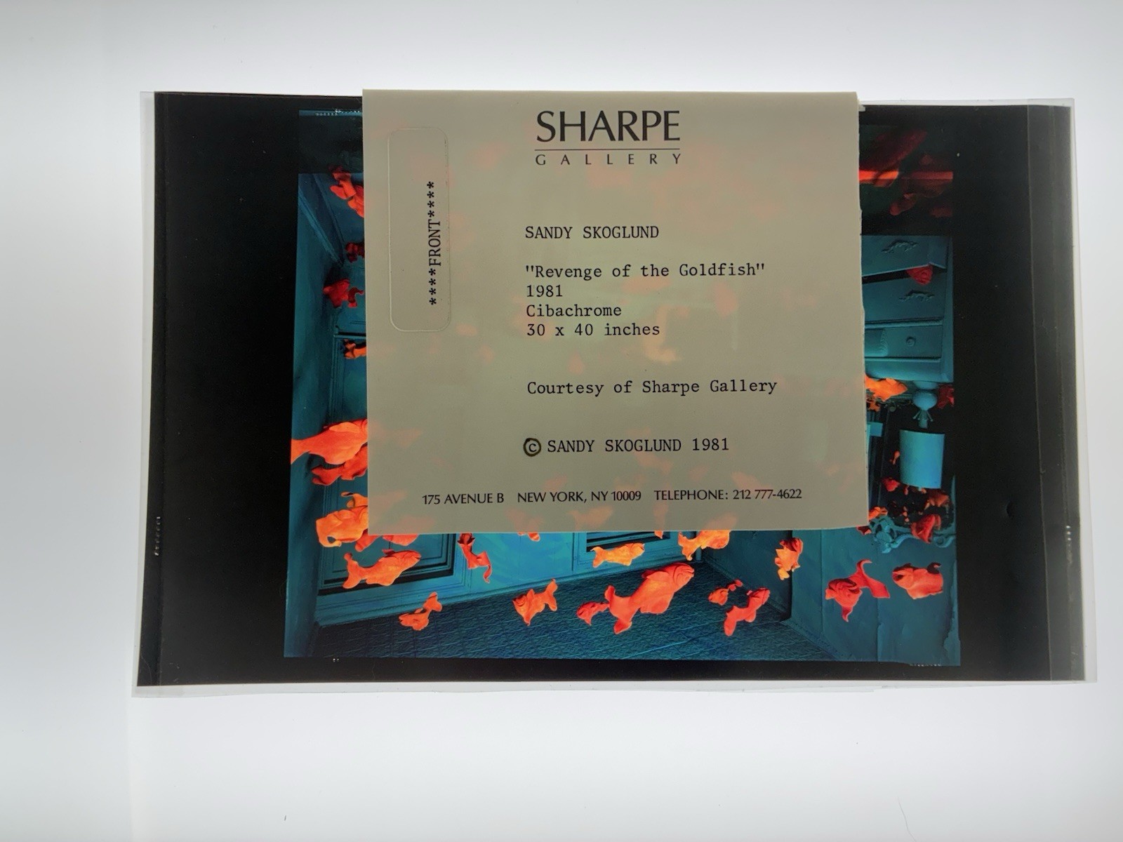 Sandy Skoglund Transparency Archive Lot Revenge Goldfish Radioactive Cats