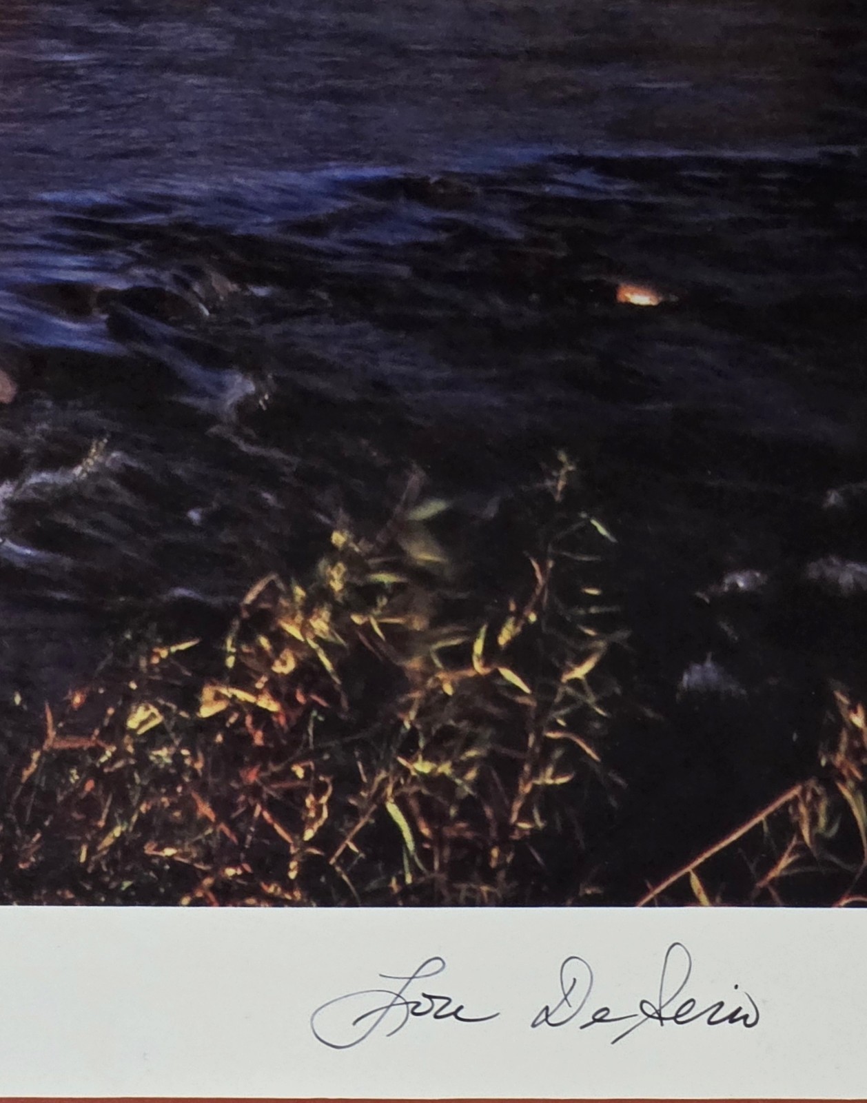 Cathedral Rock Sedona Arizona Lou DeSerio Signed Desert Art Photo Poster 1993