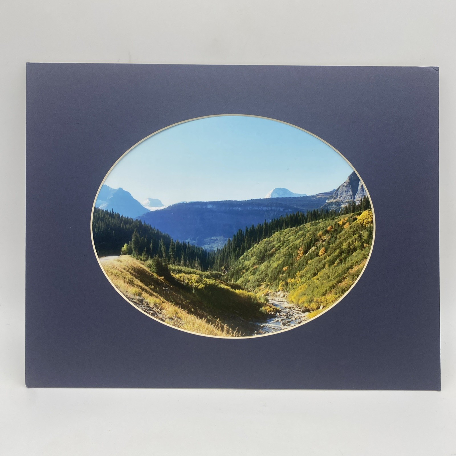 Matted Forest Mountain Landscape Photo Print 11 X 14 Wall Art Gallery Decor