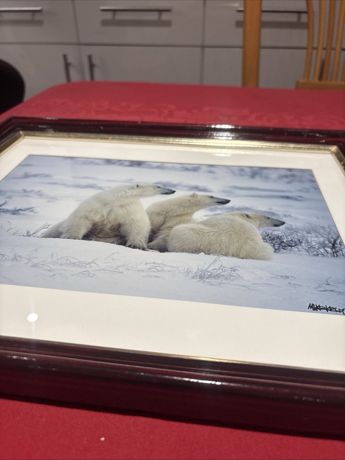 Mike Kelly Framed Limited Edition Photograph Polar Bears in Snow Signed 16/1200