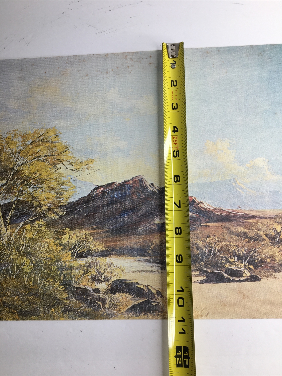 Vintage MCM Art Treasures Inc John Loo Nature Lithograph on Canvas Unframed G3