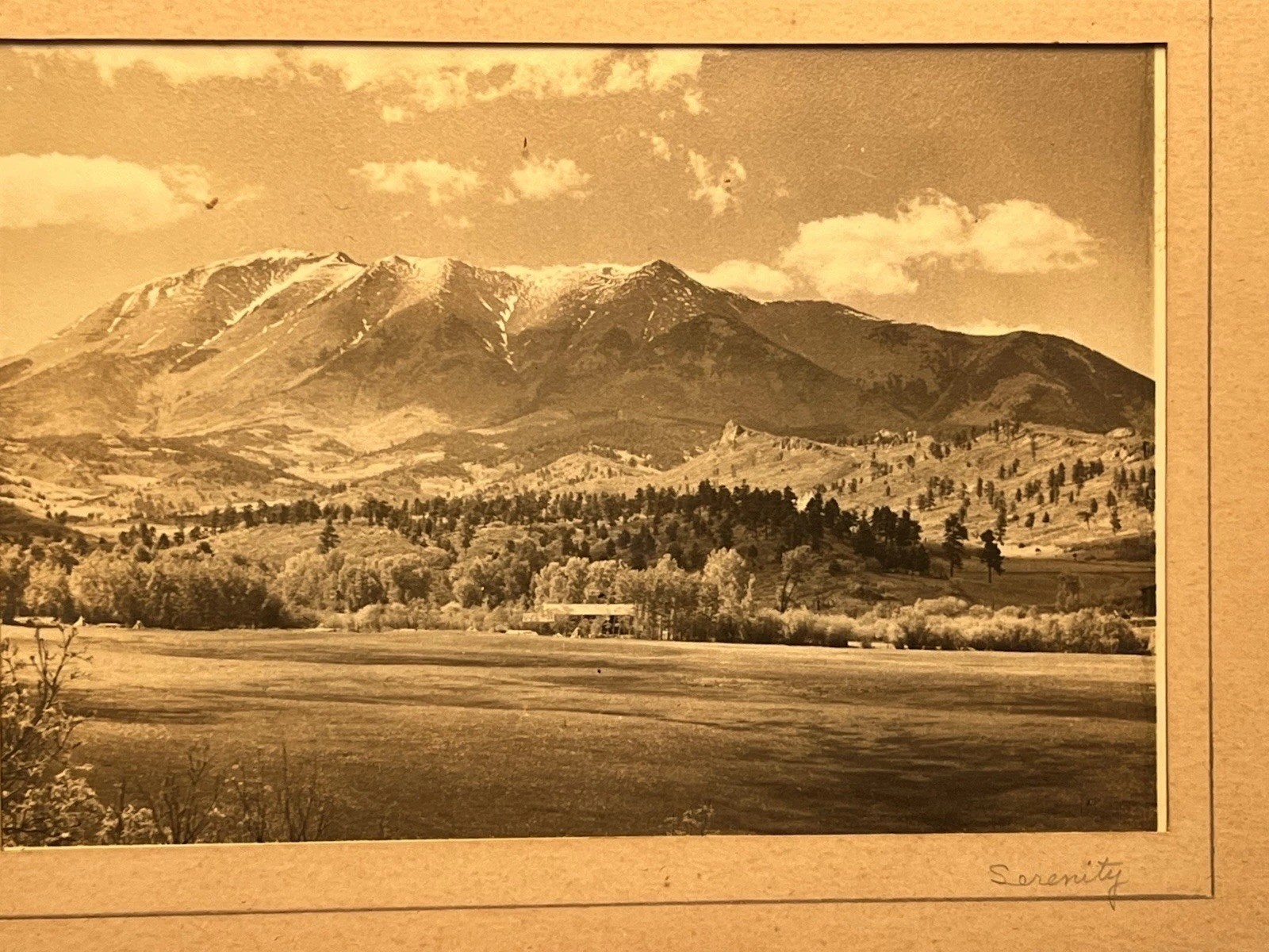 RARE ORIGINAL Early 1900s Silver Photo